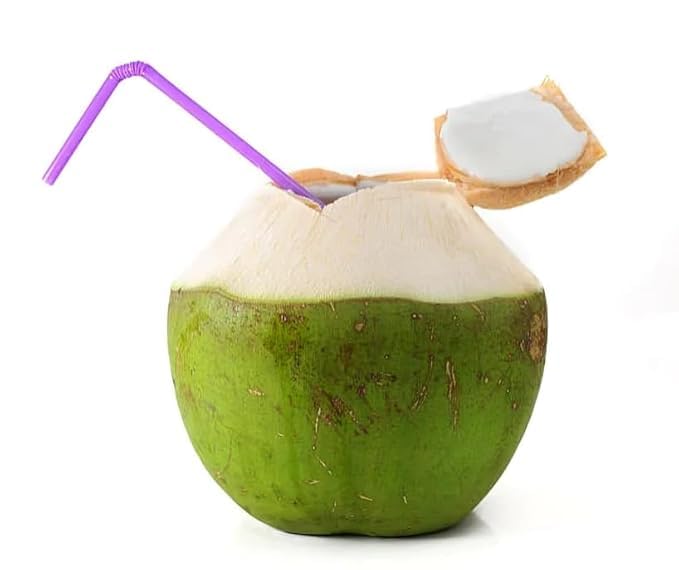 Platone Ganga Bardhan Coconut Nariyal Hybrid Dwarf Fruit Live Plant Fruit.