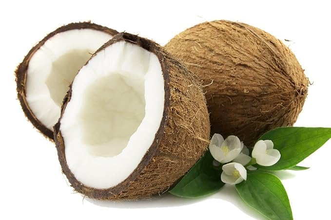 Platone Hybrid IndianThousand | Hajari | Hazari Coconut Live plant
