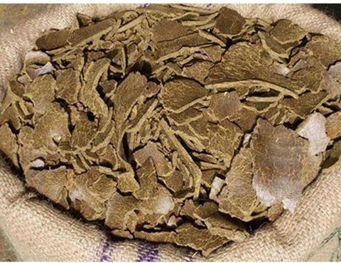 Original Sarso Khol Mustard Cake Fertilizer – 0.5 kg | Natural Organic Fertilizer for Home & Kitchen Gardening | Suitable for Plants, Pots,